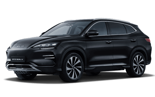 Sealion 6 EV - اسود
