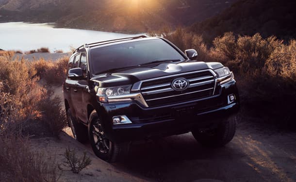 سياره-اشجار-بحر-لاند-كروزر